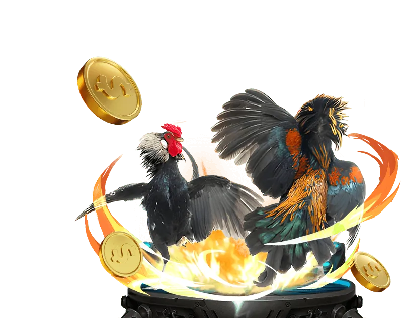 Quản lý vốn cờ bạc 68vn Casino